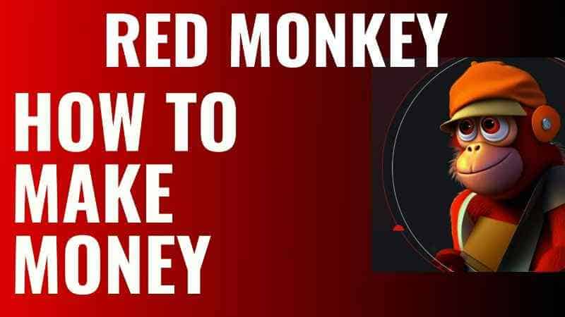 how-to-make-money-on-redmonkey
